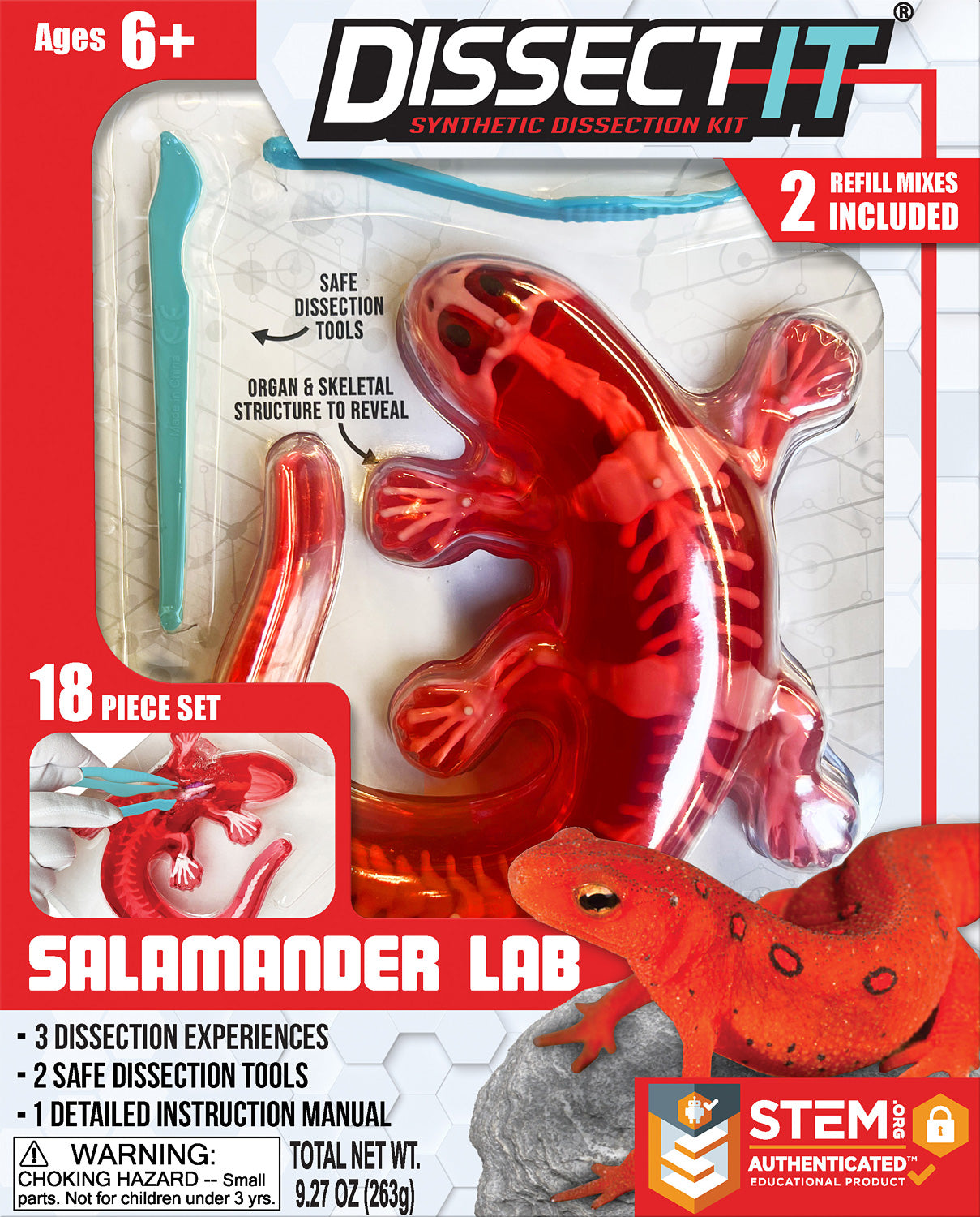 Dissect-It Salamander - Gingerbread House Toys