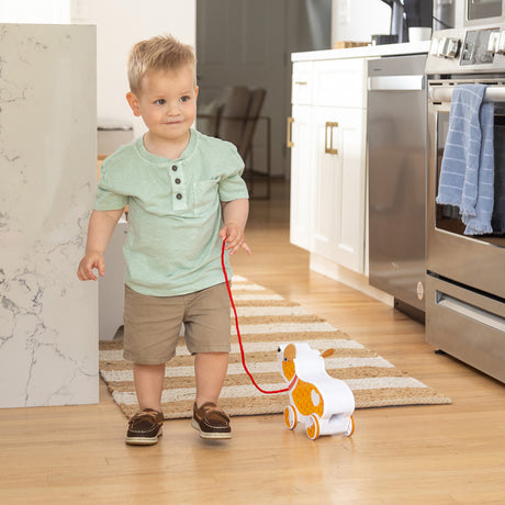 Feed, Walk & Poo Pup Play Set