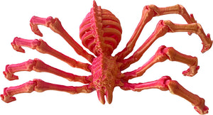 Twiddle Spider