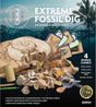 The Young Scientists Club Extreme Fossil Dig