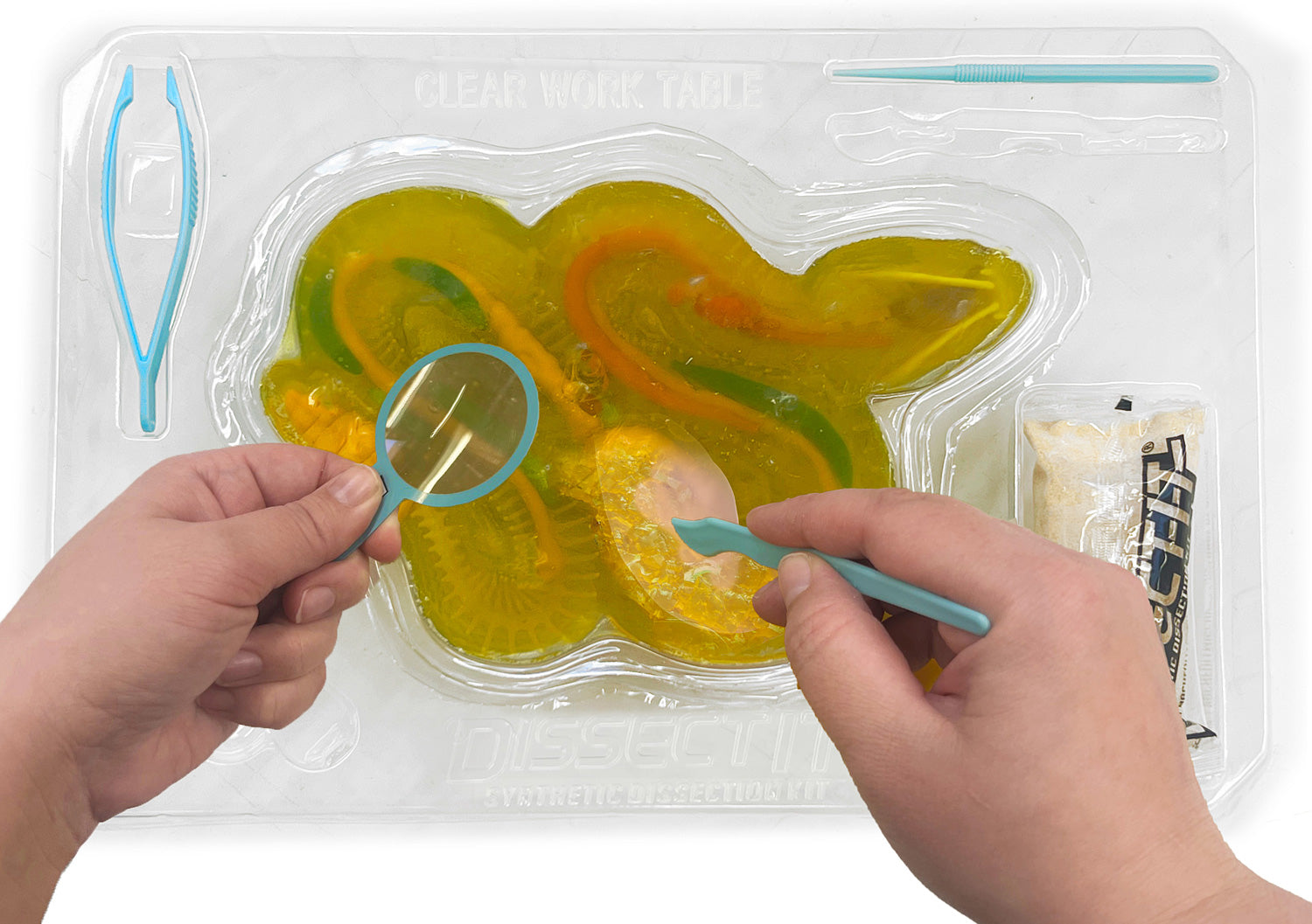 Dissect-It Super Rattlesnake - Gingerbread House Toys
