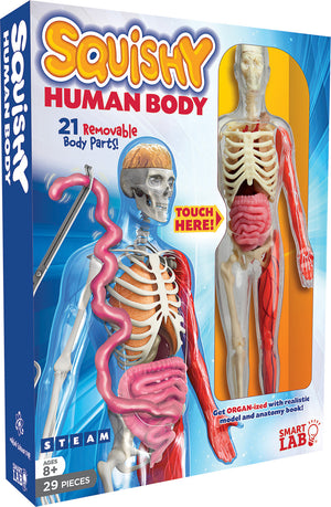 Smart Lab Squishy Human Body