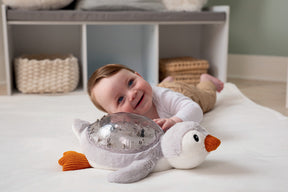 Cloud b Tranquil Penguin