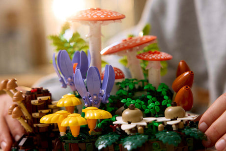 BOTANICALS Woodland Mushrooms