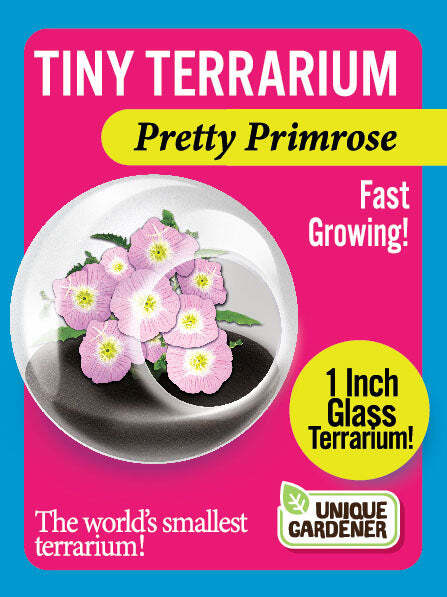Tiny Terrarium Flowers