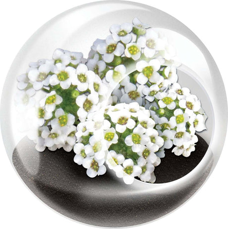 Tiny Terrarium Flowers