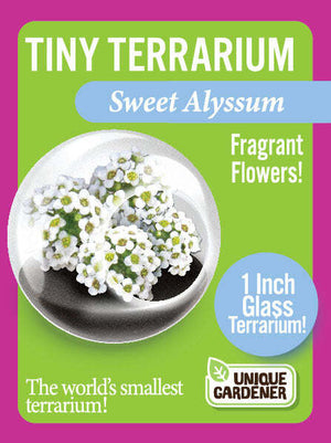 Tiny Terrarium Flowers