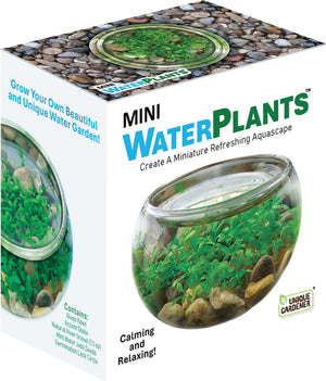 Mini WaterPlants - Create A Miniature Aquascape