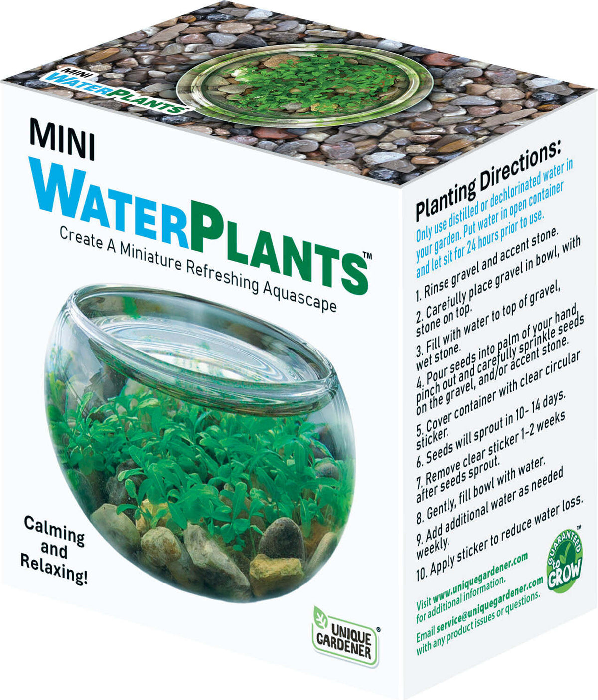 Mini WaterPlants - Create A Miniature Aquascape