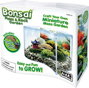 Bonsai Moss & Rock Garden Terrarium