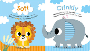 Scholastic Early Learners: Bumpy Squishy Fluffy, My First Look-and-Feel Book