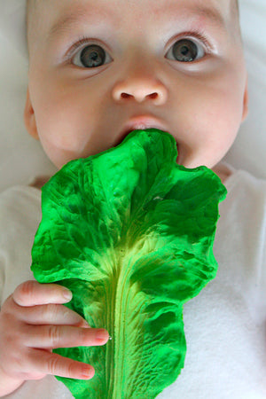 Oli & Carol Kendall the Kale Teether