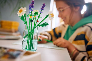 BOTANICALS Daisies