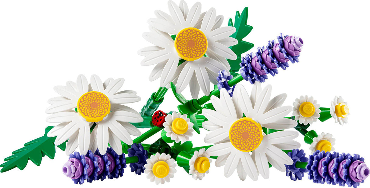 BOTANICALS Daisies