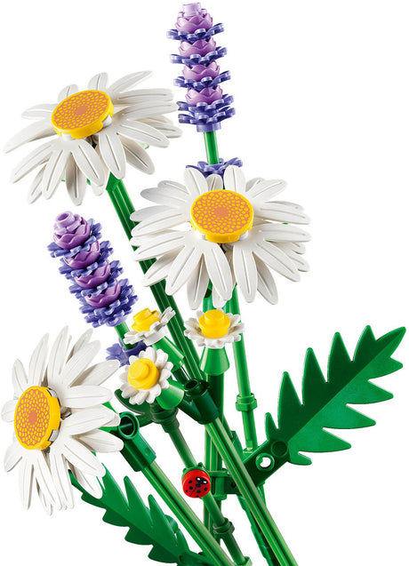 BOTANICALS Daisies