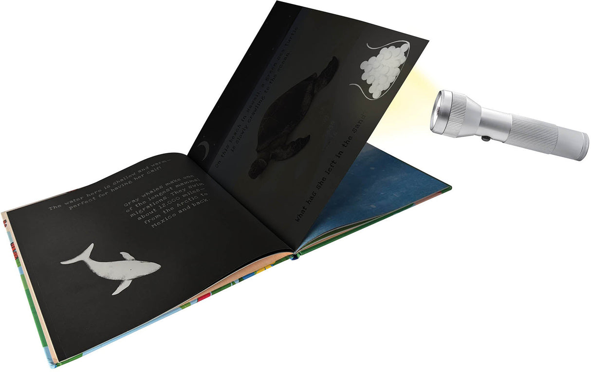 Animal Journeys A Shine-A-Light Book