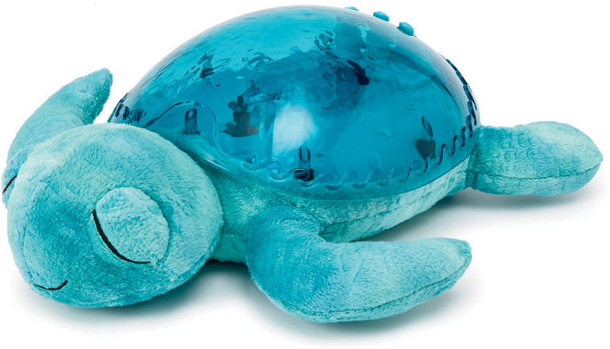 Cloud b Tranquil Turtle