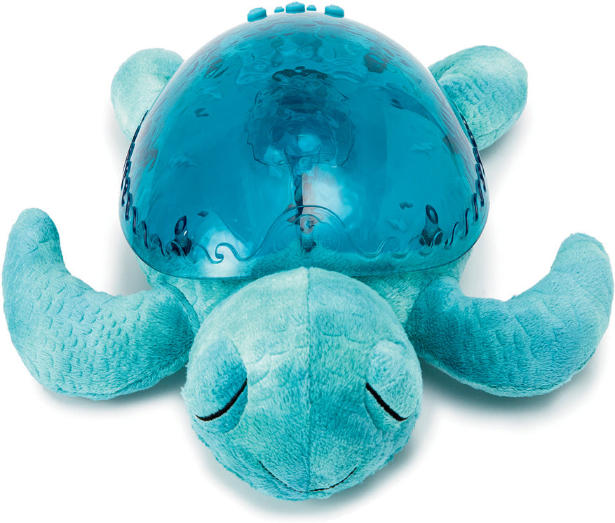 Cloud b Tranquil Turtle