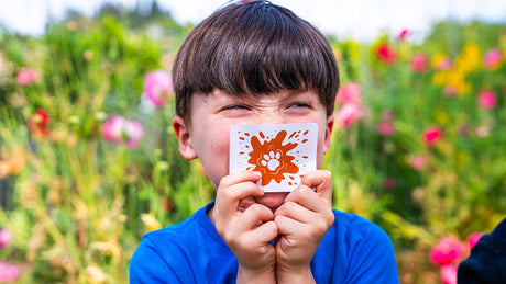 You Little Stinker Matching Game