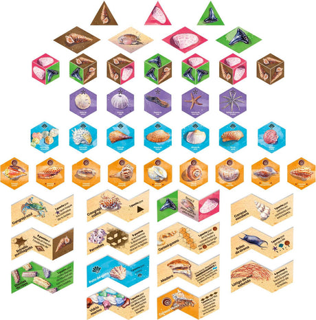 Sanibel Board Game