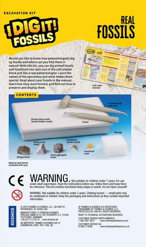 I Dig It! Fossils - Real Fossils Excavation Kit