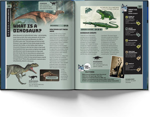 Smart Fox: Dinosaurs