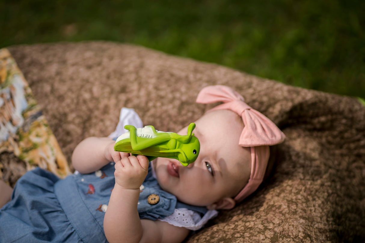 Grasshopper Natural Rubber Teether, Rattle & Bath Toy