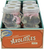 Tiny Toys Itty Bitty Axolittles