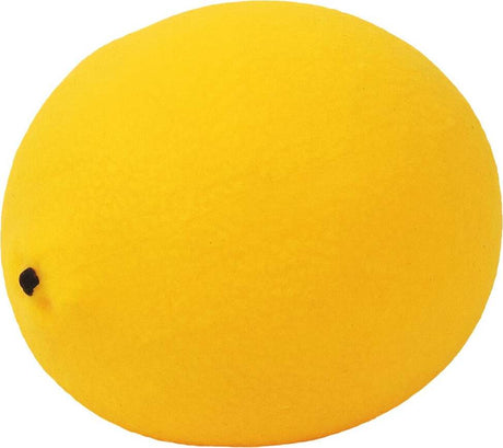Farm Fresh Squishy Fruit (assorted)