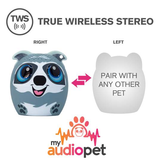 Audio Pet -Treble Maker Racoon