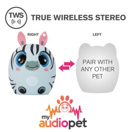 Audio Pet - Zymphony Zebra