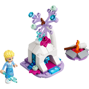 30559 Elsa and Bruni’s Forest