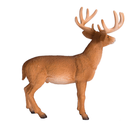 MOJO White Tailed Deer Buck