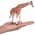 MOJO Giraffe Female