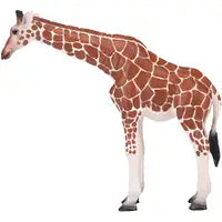 MOJO Giraffe Female