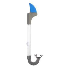 Snorkel Shark