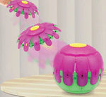 Flying Disc Ball