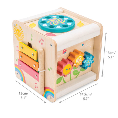 Petit Activity Cube