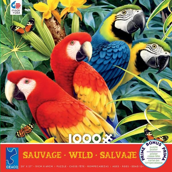 1000pc Wild Assort