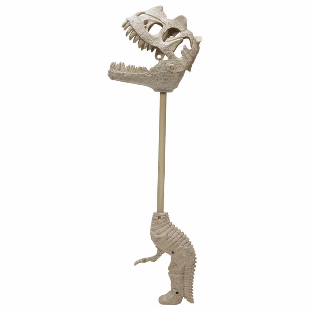 Chomp & Go Dino Skulls