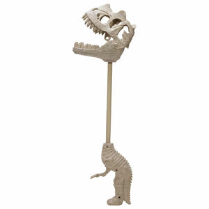 Chomp & Go Dino Skulls