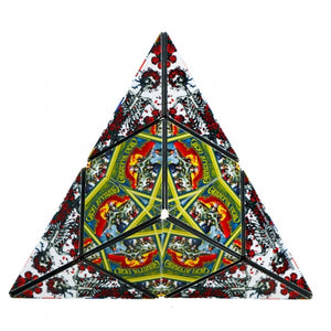 Shashibo - Steal Your Face