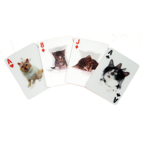 Cats 3D Cards