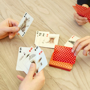 Cats 3D Cards