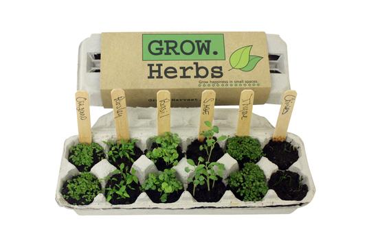 Herb Garden