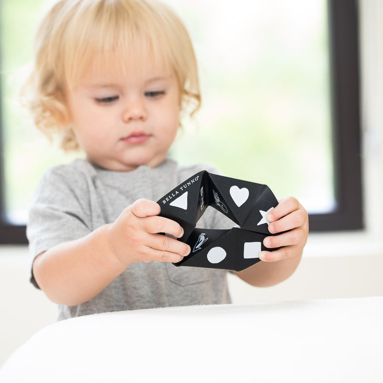 Black Beginner Spinner