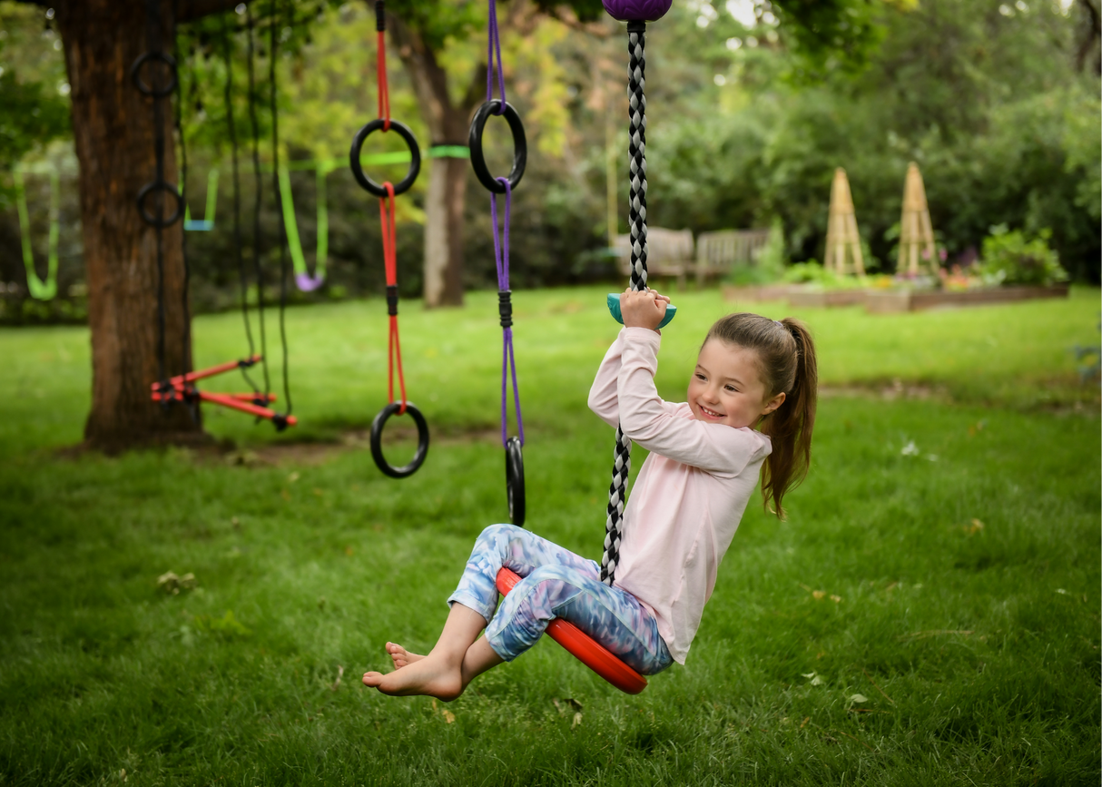 Climbing Rope Swing