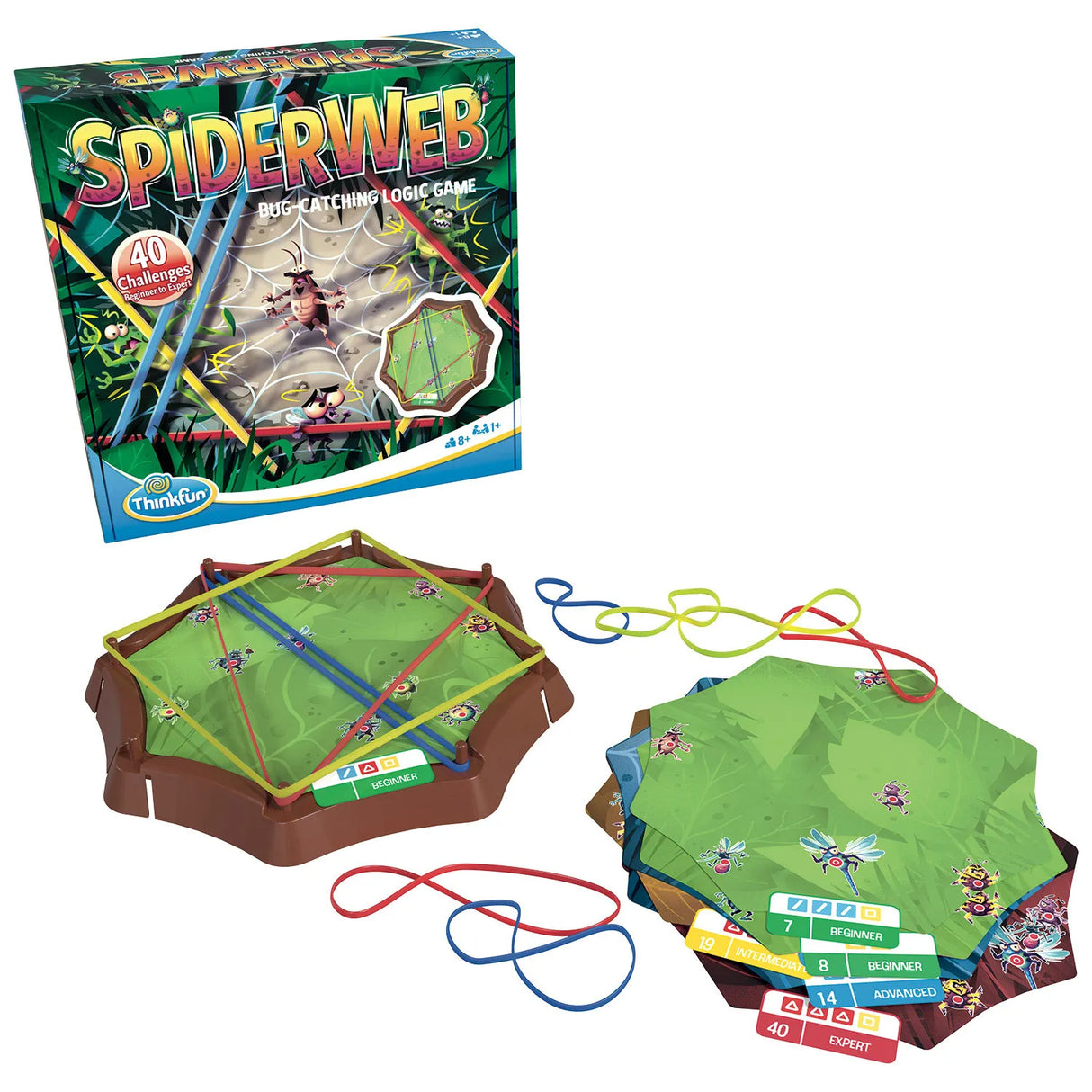 Spider Web Game