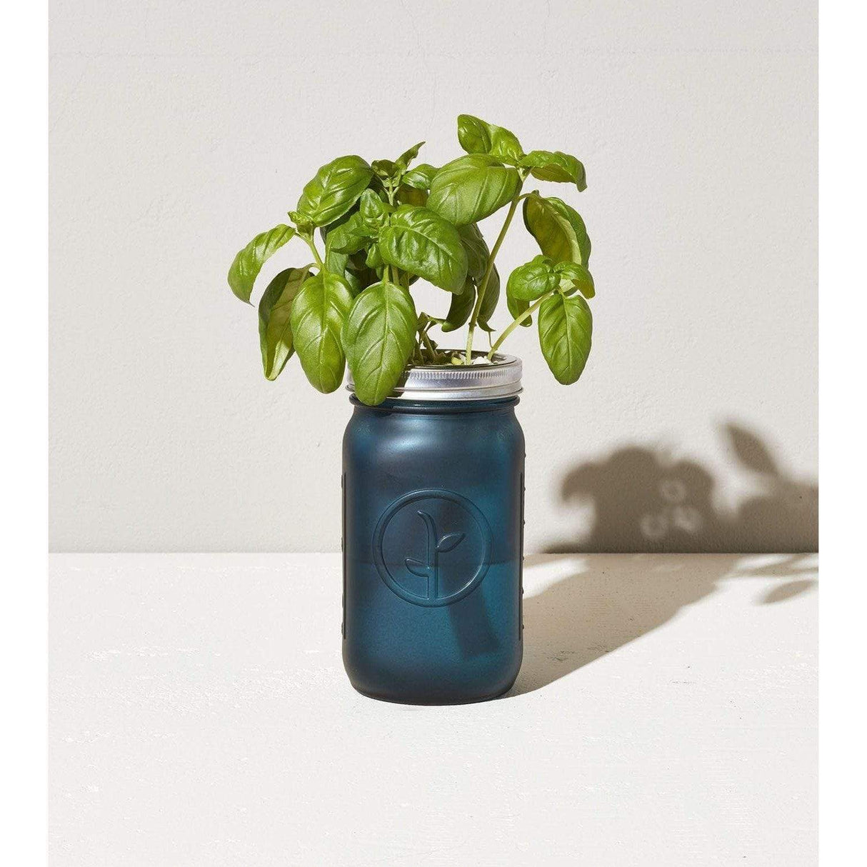 Garden Jar - Basil