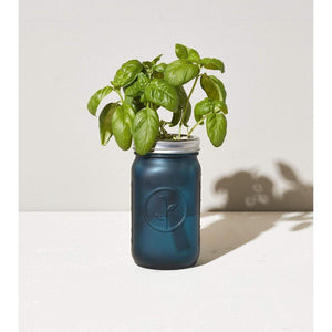 Garden Jar - Basil